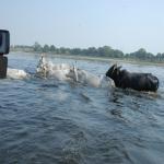 Vraj-Yatra-2014- (1029)